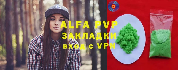 стаф Аркадак