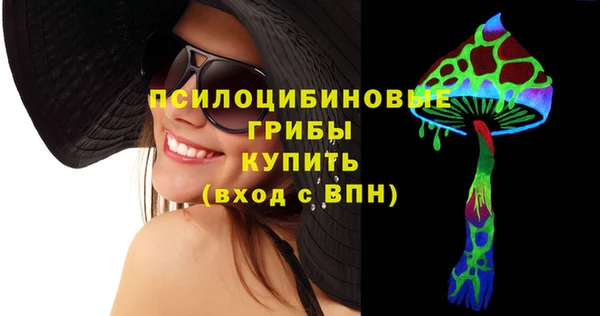 стаф Аркадак