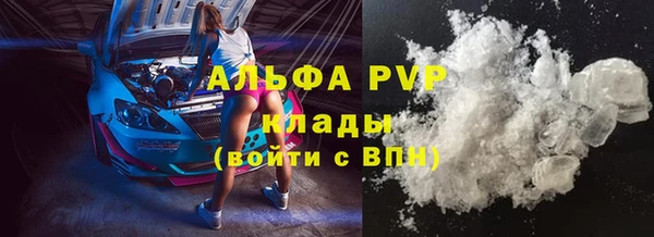 стаф Аркадак